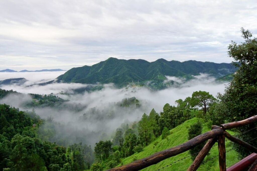 Mountain trail near Shoja with pine forests in Himachal