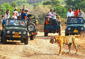 corbett tour nainaital