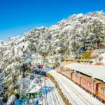 Kalka-Shimla toy train passing through snow - covered pine forest